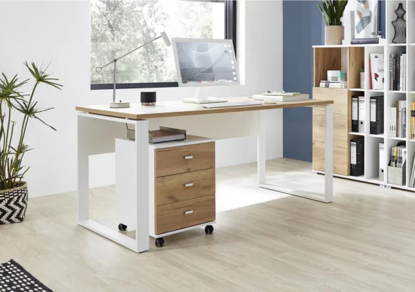 Zane desk  lifestyle